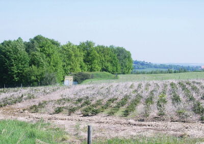 Wanderweg Wasser - ewag kamenz - STATION 20 Trinkwasserhochbehälter Gelenau